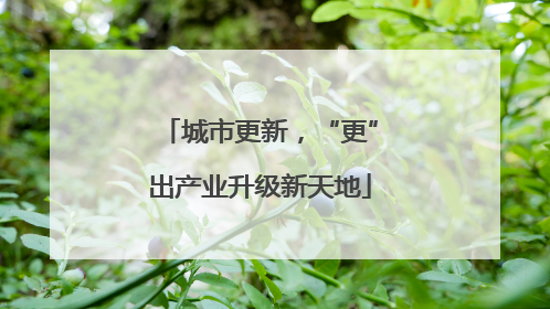 城市更新，“更”出产业升级新天地