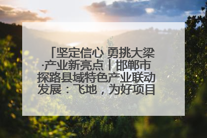坚定信心 勇挑大梁·产业新亮点丨邯郸市探路县域特色产业联动发展：飞地，为好项目跨域安个家