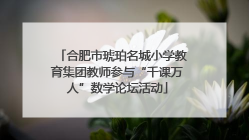 合肥市琥珀名城小学教育集团教师参与“千课万人”数学论坛活动
