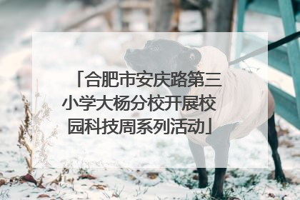 合肥市安庆路第三小学大杨分校开展校园科技周系列活动