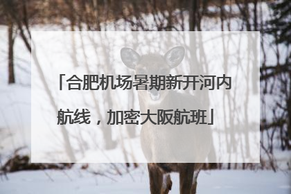 合肥机场暑期新开河内航线，加密大阪航班