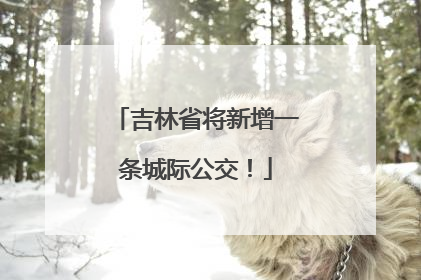 吉林省将新增一条城际公交！