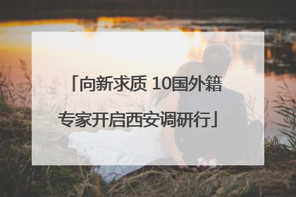 向新求质 10国外籍专家开启西安调研行
