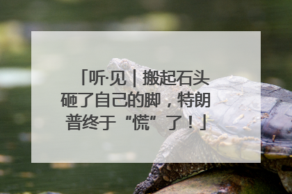 听·见｜搬起石头砸了自己的脚，特朗普终于“慌”了！