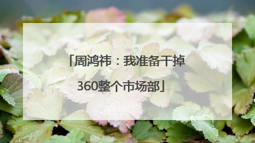周鸿祎：我准备干掉360整个市场部