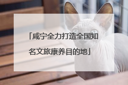 咸宁全力打造全国知名文旅康养目的地