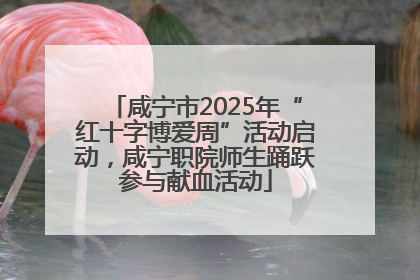 咸宁市2025年“红十字博爱周”活动启动，咸宁职院师生踊跃参与献血活动