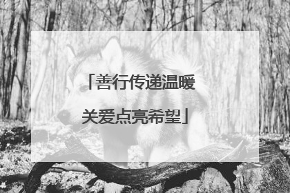 善行传递温暖 关爱点亮希望
