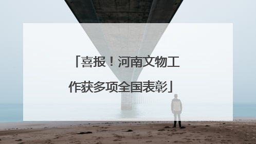 喜报！河南文物工作获多项全国表彰