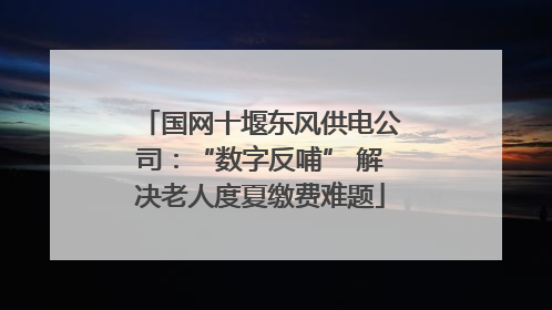 国网十堰东风供电公司：“数字反哺” 解决老人度夏缴费难题