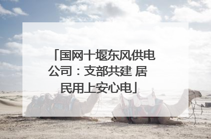 国网十堰东风供电公司：支部共建 居民用上安心电