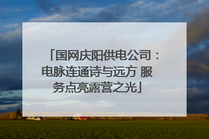 国网庆阳供电公司：电脉连通诗与远方 服务点亮露营之光