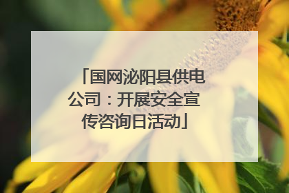 国网泌阳县供电公司：开展安全宣传咨询日活动