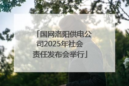 国网洛阳供电公司2025年社会责任发布会举行