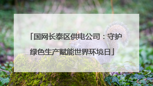 国网长泰区供电公司：守护绿色生产赋能世界环境日