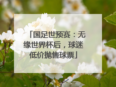 国足世预赛：无缘世界杯后，球迷低价抛售球票