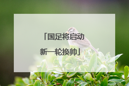 国足将启动新一轮换帅