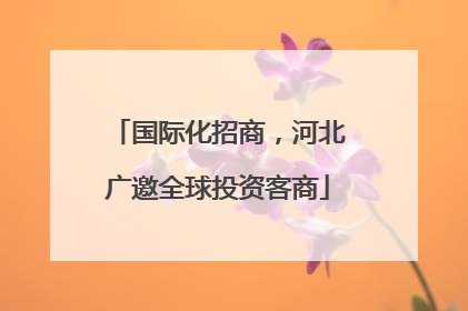 国际化招商，河北广邀全球投资客商