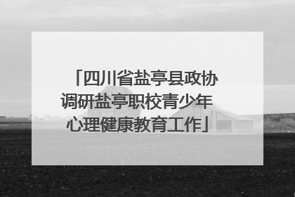 四川省盐亭县政协调研盐亭职校青少年心理健康教育工作