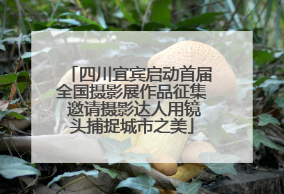 四川宜宾启动首届全国摄影展作品征集 邀请摄影达人用镜头捕捉城市之美