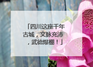 四川这座千年古城，文脉充沛，武德爆棚！