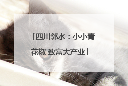四川邻水：小小青花椒 致富大产业