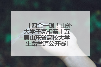 四金一银！山外大学子亮相第十五届山东省高校大学生跆拳道公开赛