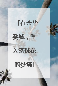 在金华婺城，坠入绣球花的梦境
