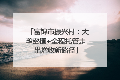 富锦市振兴村：大垄密植+全程托管走出增收新路径