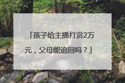 孩子给主播打赏2万元，父母能追回吗？