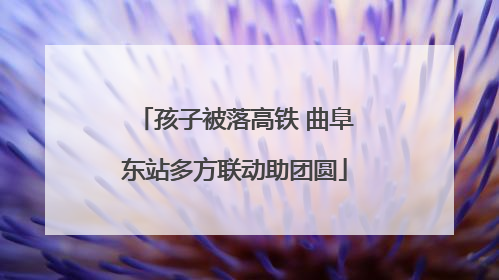 孩子被落高铁 曲阜东站多方联动助团圆