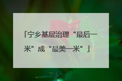 宁乡基层治理“最后一米”成“最美一米”
