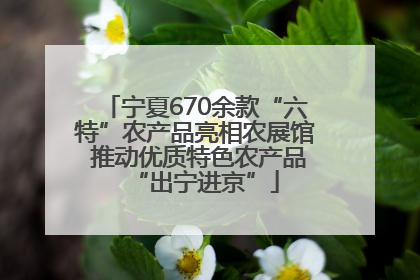 宁夏670余款“六特”农产品亮相农展馆 推动优质特色农产品“出宁进京”