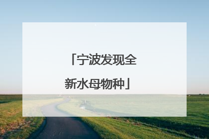宁波发现全新水母物种