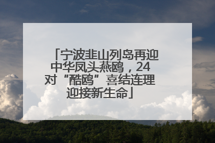 宁波韭山列岛再迎中华凤头燕鸥，24对“酷鸥”喜结连理迎接新生命