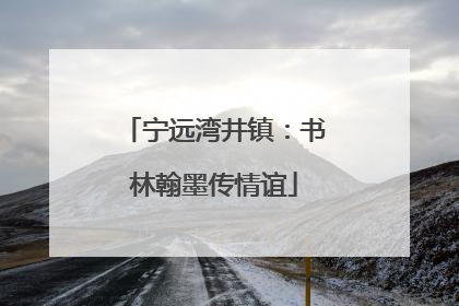 宁远湾井镇：书林翰墨传情谊