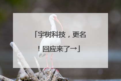 宇树科技，更名！回应来了→