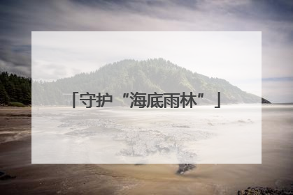 守护“海底雨林”