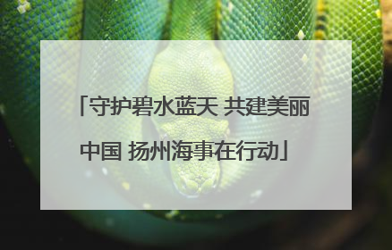守护碧水蓝天 共建美丽中国 扬州海事在行动