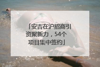 安吉在沪招商引资聚新力，54个项目集中签约