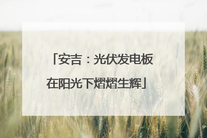 安吉：光伏发电板在阳光下熠熠生辉