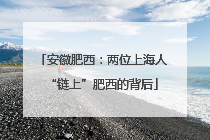 安徽肥西：两位上海人“链上”肥西的背后