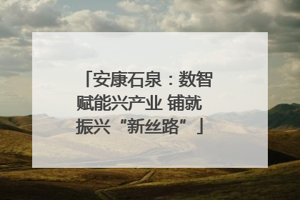 安康石泉：数智赋能兴产业 铺就振兴“新丝路”