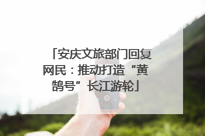 安庆文旅部门回复网民：推动打造“黄鹄号”长江游轮