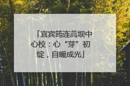 宜宾筠连蒿坝中心校：心“芽”初绽，自暖成光