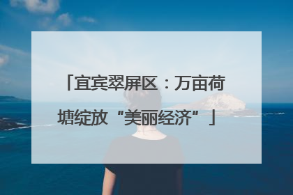 宜宾翠屏区：万亩荷塘绽放“美丽经济”