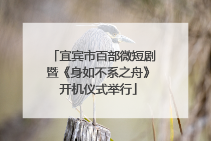 宜宾市百部微短剧暨《身如不系之舟》开机仪式举行