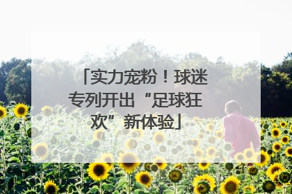 实力宠粉！球迷专列开出“足球狂欢”新体验