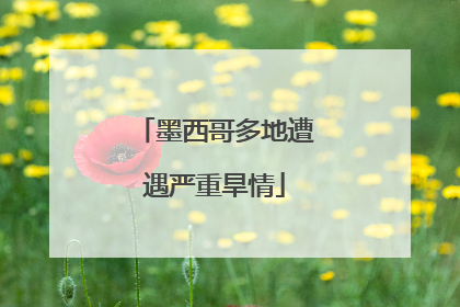 墨西哥多地遭遇严重旱情