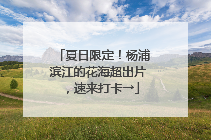 夏日限定！杨浦滨江的花海超出片，速来打卡→